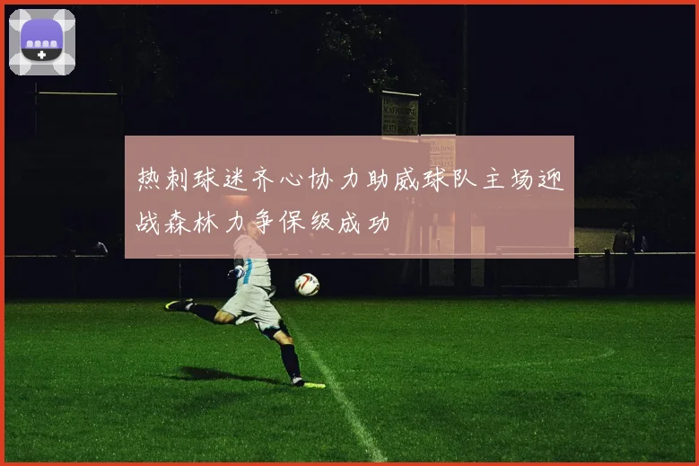 热刺球迷齐心协力助威球队主场迎战森林力争保级成功