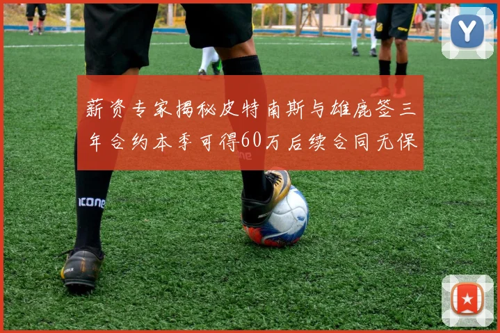 薪资专家揭秘皮特南斯与雄鹿签三年合约本季可得60万后续合同无保障