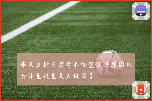 弗莱分析东契奇和哈登伤病原因认为体重过重是关键因素