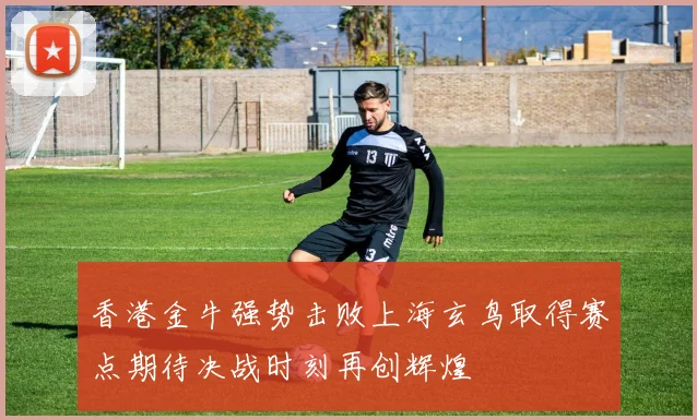 香港金牛强势击败上海玄鸟取得赛点期待决战时刻再创辉煌
