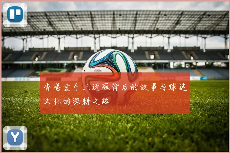 香港金牛三连冠背后的故事与球迷文化的深耕之路