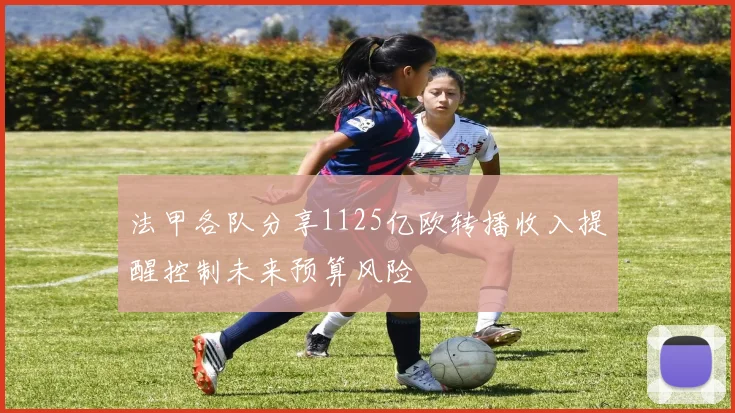 法甲各队分享1125亿欧转播收入提醒控制未来预算风险